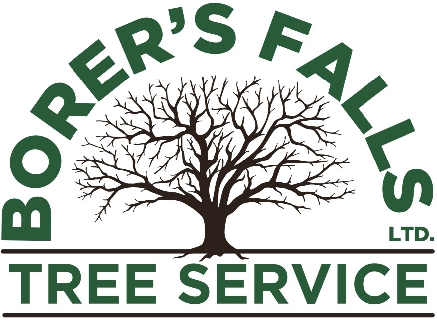 Borer’s Falls Tree Service's logo