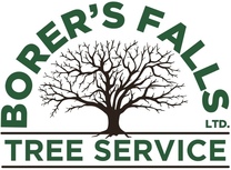 Borer’s Falls Tree Service's logo