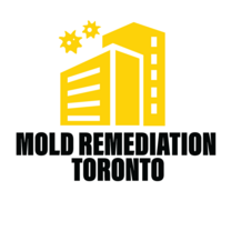 Mold Remediation Toronto's logo