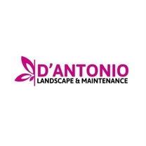 D'Antonio Landscape & Maintenance's logo