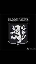 Black Lion Drywall Ltd.'s logo