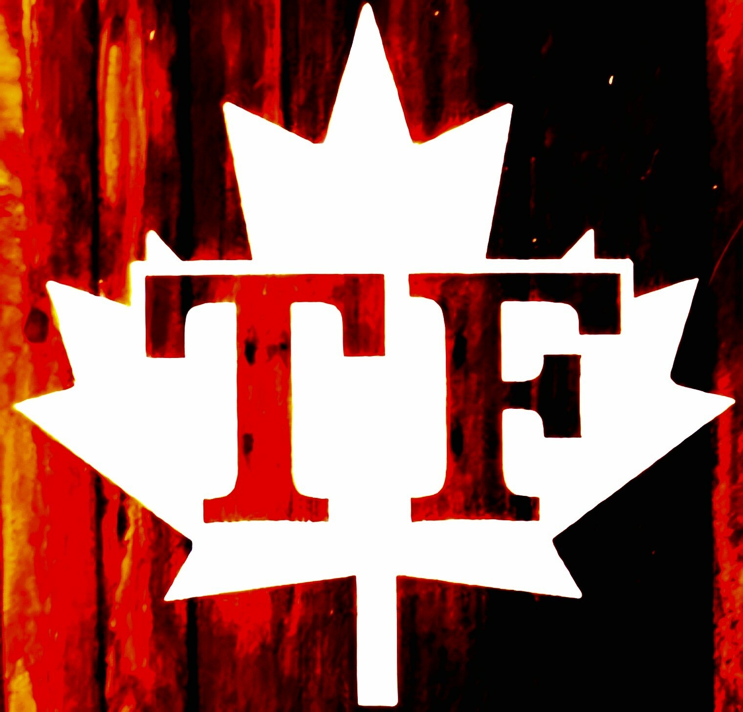 Triple F Fencing & Deck Services's logo