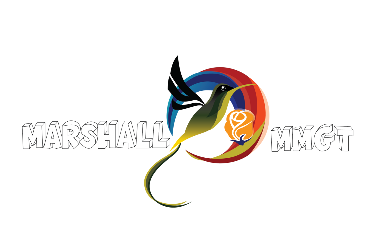 Marshall MMGT & Services's logo