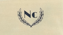 Nesic Construction Services Inc.'s logo