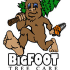 Big Foot Tree Care's logo