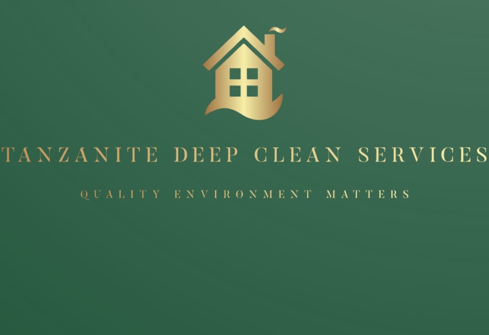 Tanzanite deep clean's logo