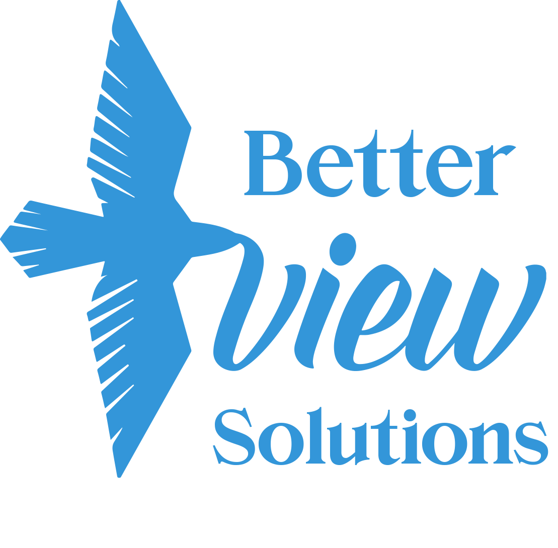 Better View Solutions Inc.'s logo