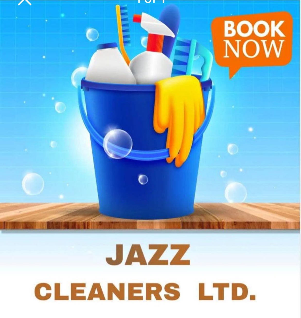 Jazz cleaners LTD's logo