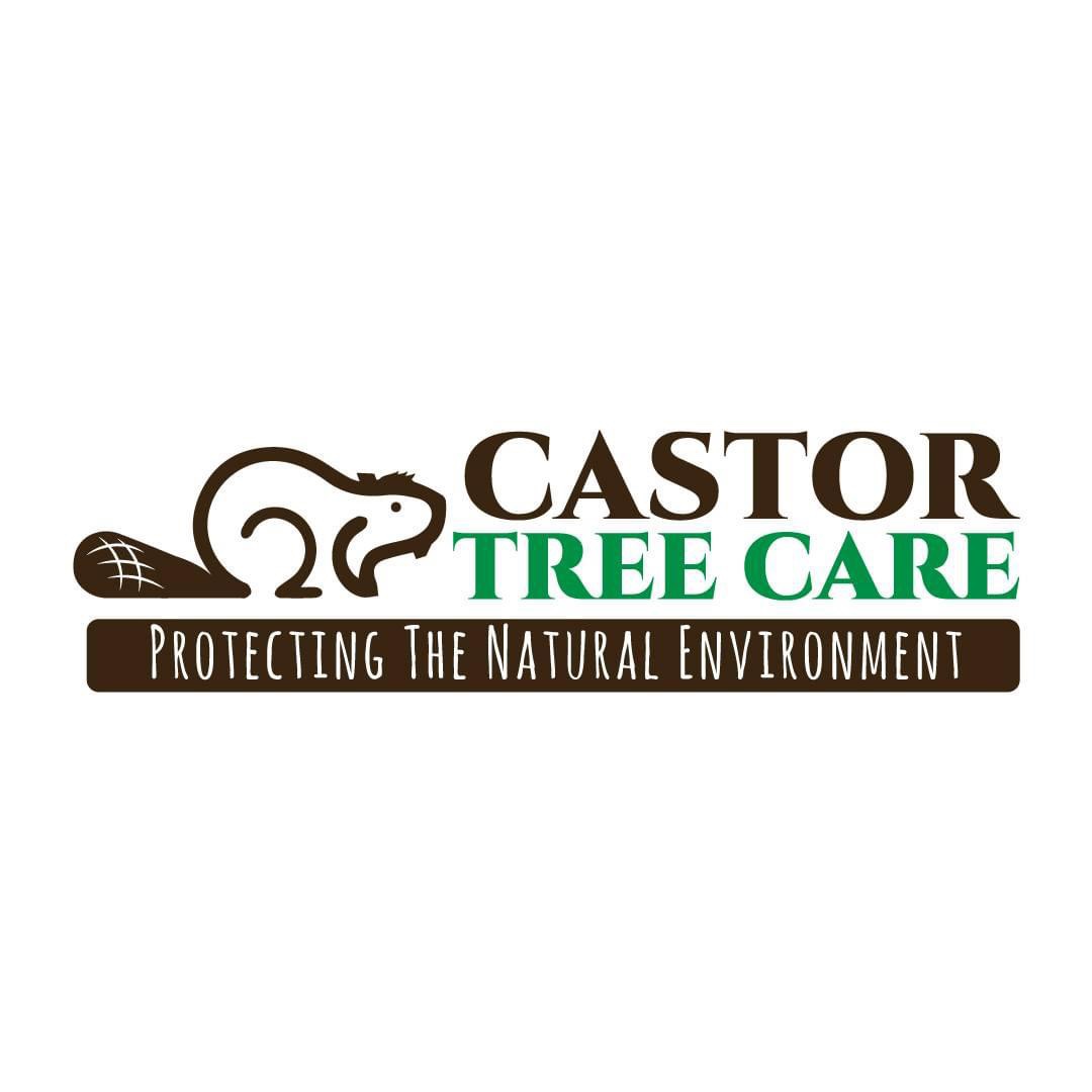 Castor Tree Care Services's logo
