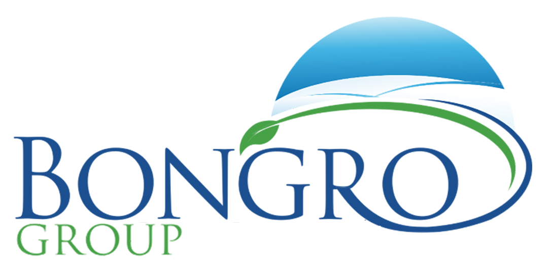 BONGRO Group's logo