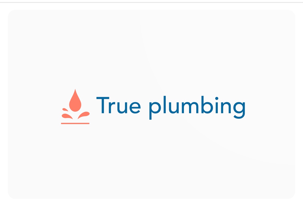 True plumbing and draining services 's logo